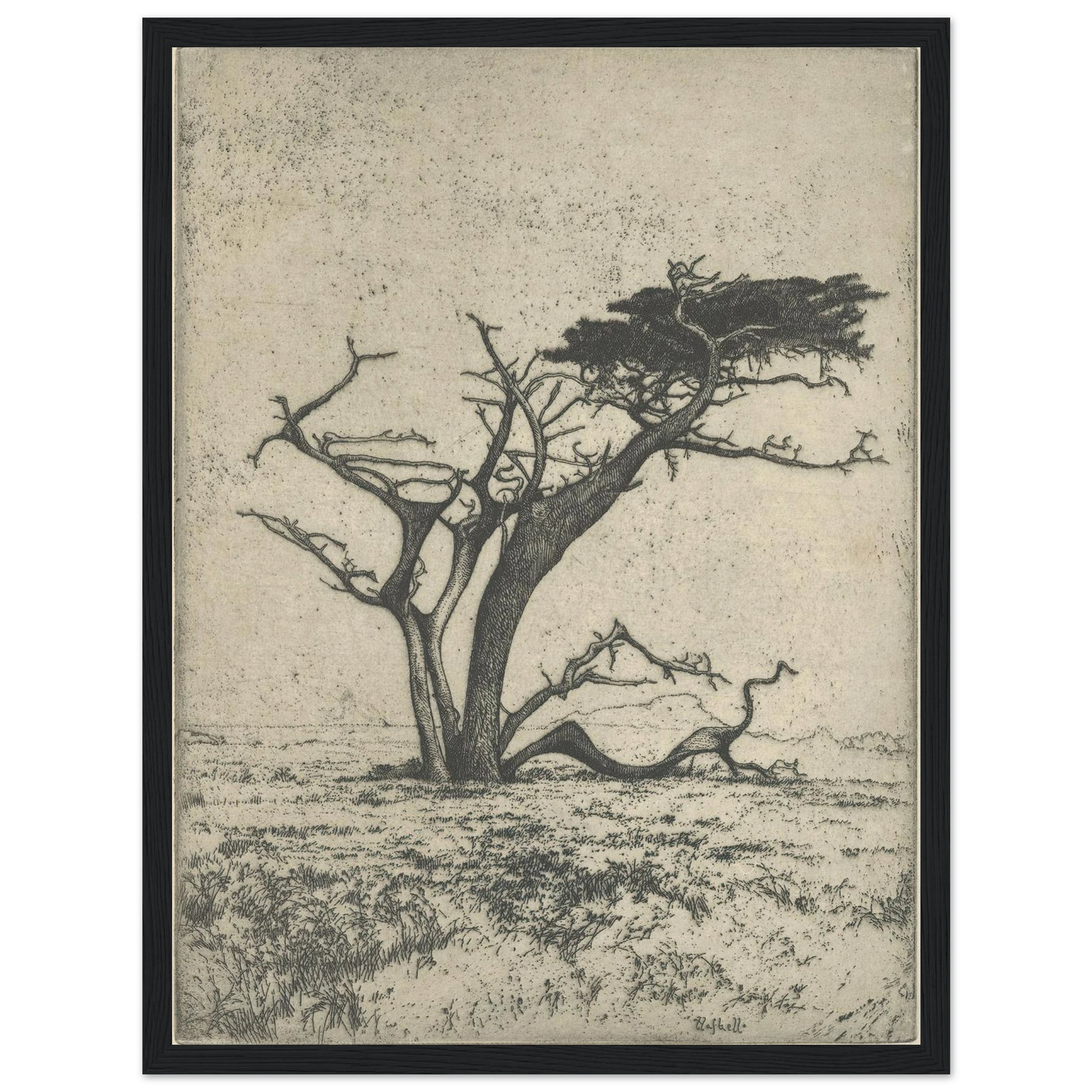 Antlers (1915) Art Print | Ernest Haskell-Quipham Collections