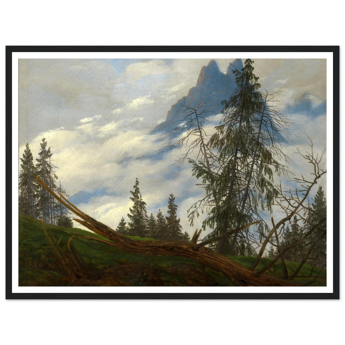 686ba7f9-8555-44ff-8c92-18e72798f964