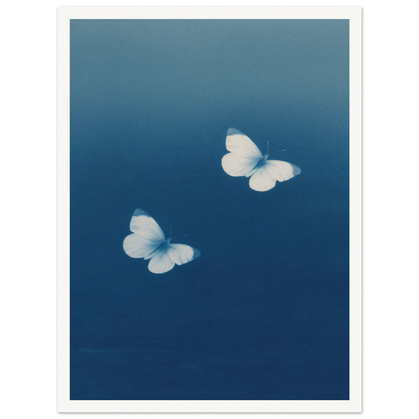 6a9cb51c-b569-4444-9e5f-dc34c0dbf509