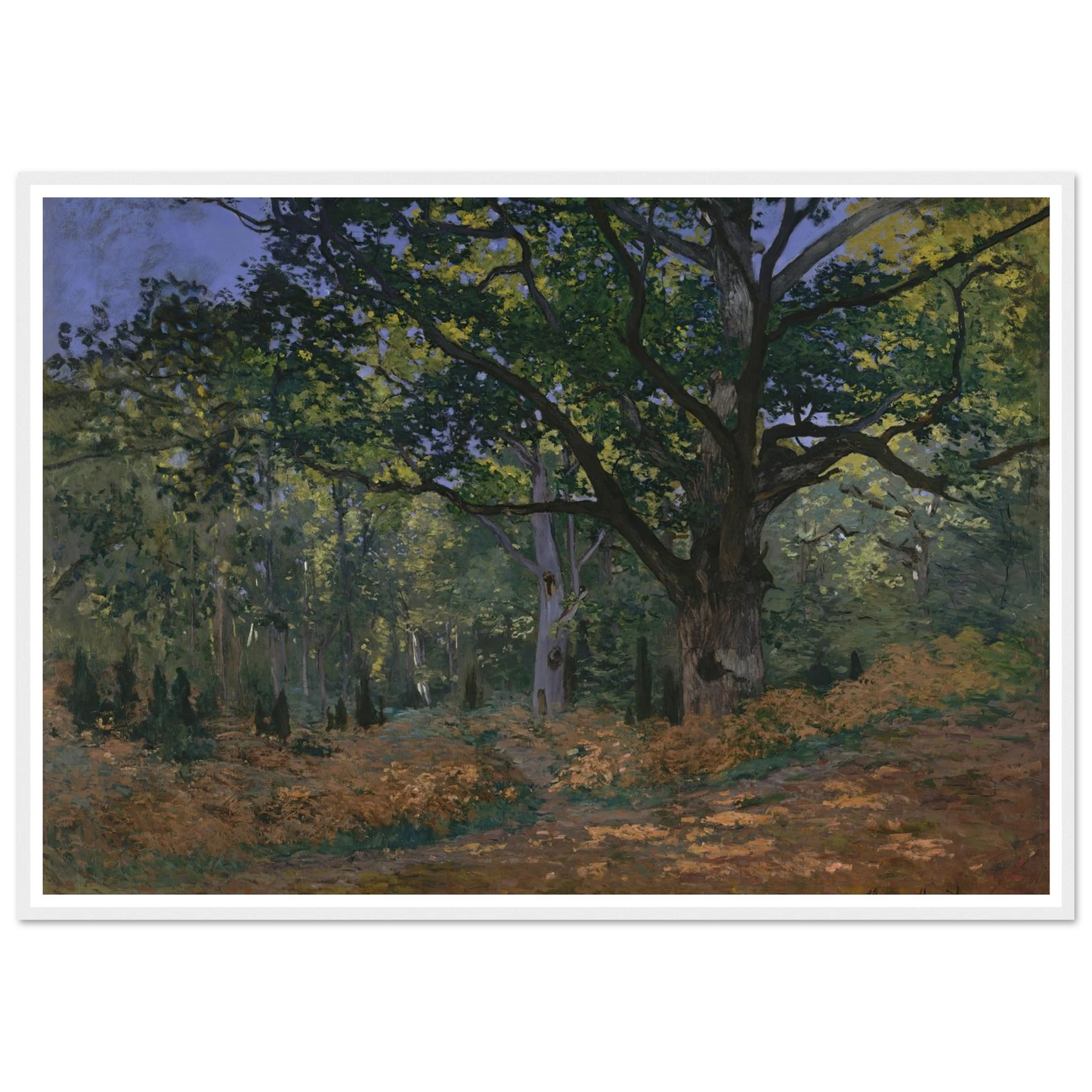 The Bodmer Oak, Fontainebleau Forest (1865) Art Print | Claude Monet-Quipham Collections