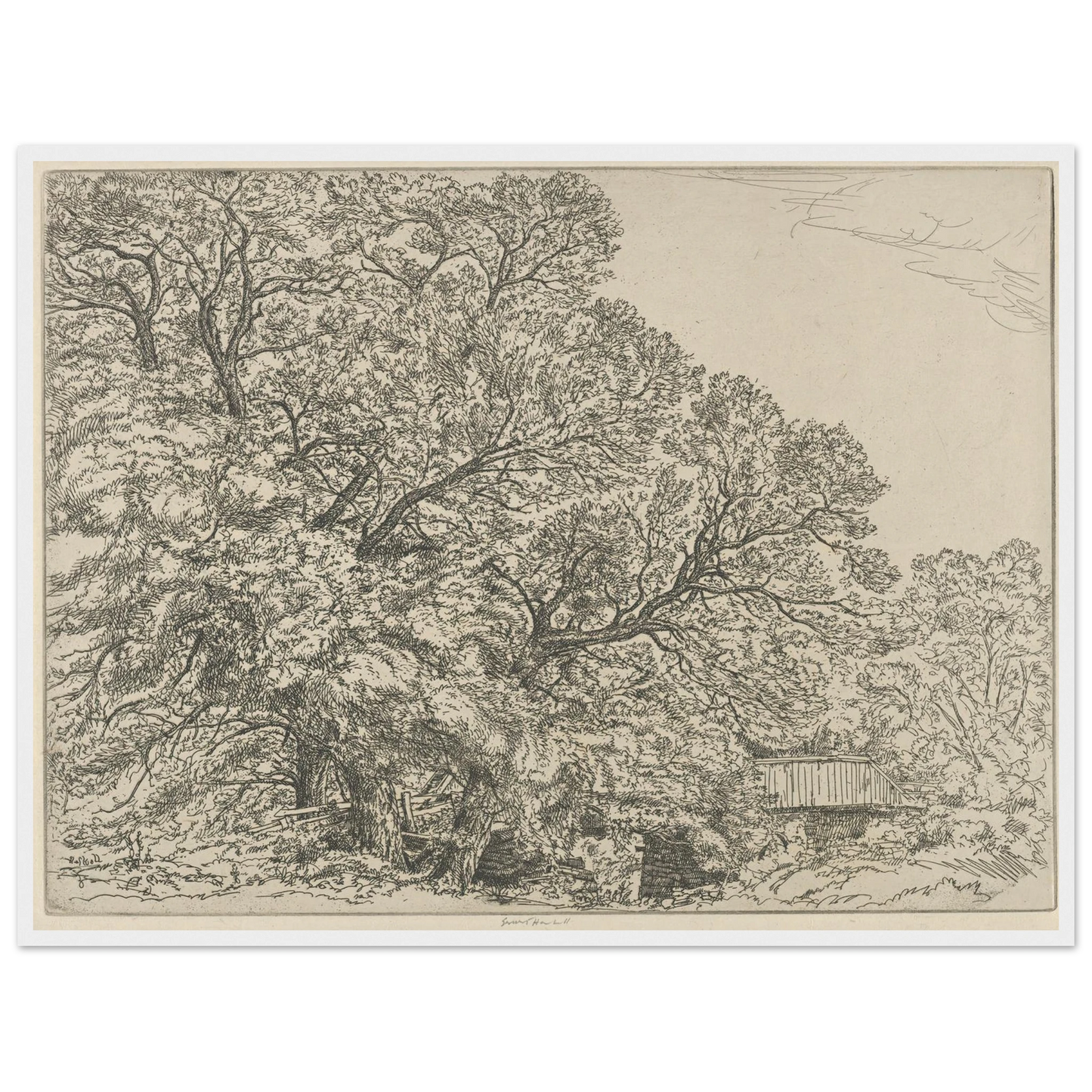 Alna Willows (1924) Art Print | Ernest Haskell-Quipham Collections