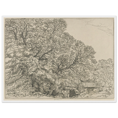 Alna Willows (1924) Art Print | Ernest Haskell-Quipham Collections