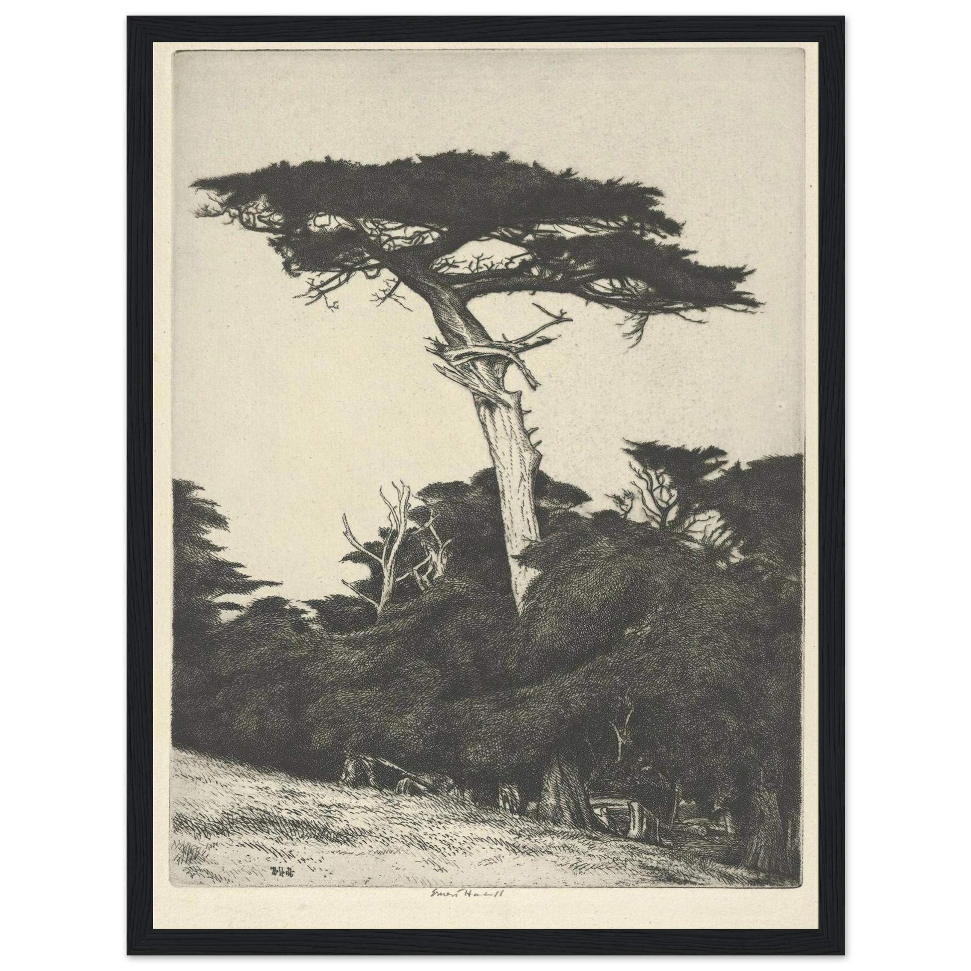 Dryad’s Parasol (1916-1922) Art Print | Ernest Haskell-Quipham Collections