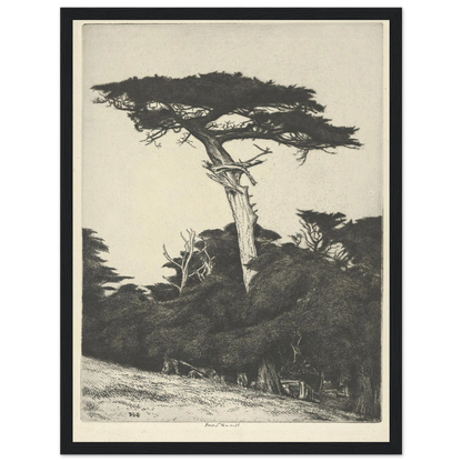 Dryad’s Parasol (1916-1922) Art Print | Ernest Haskell-Quipham Collections