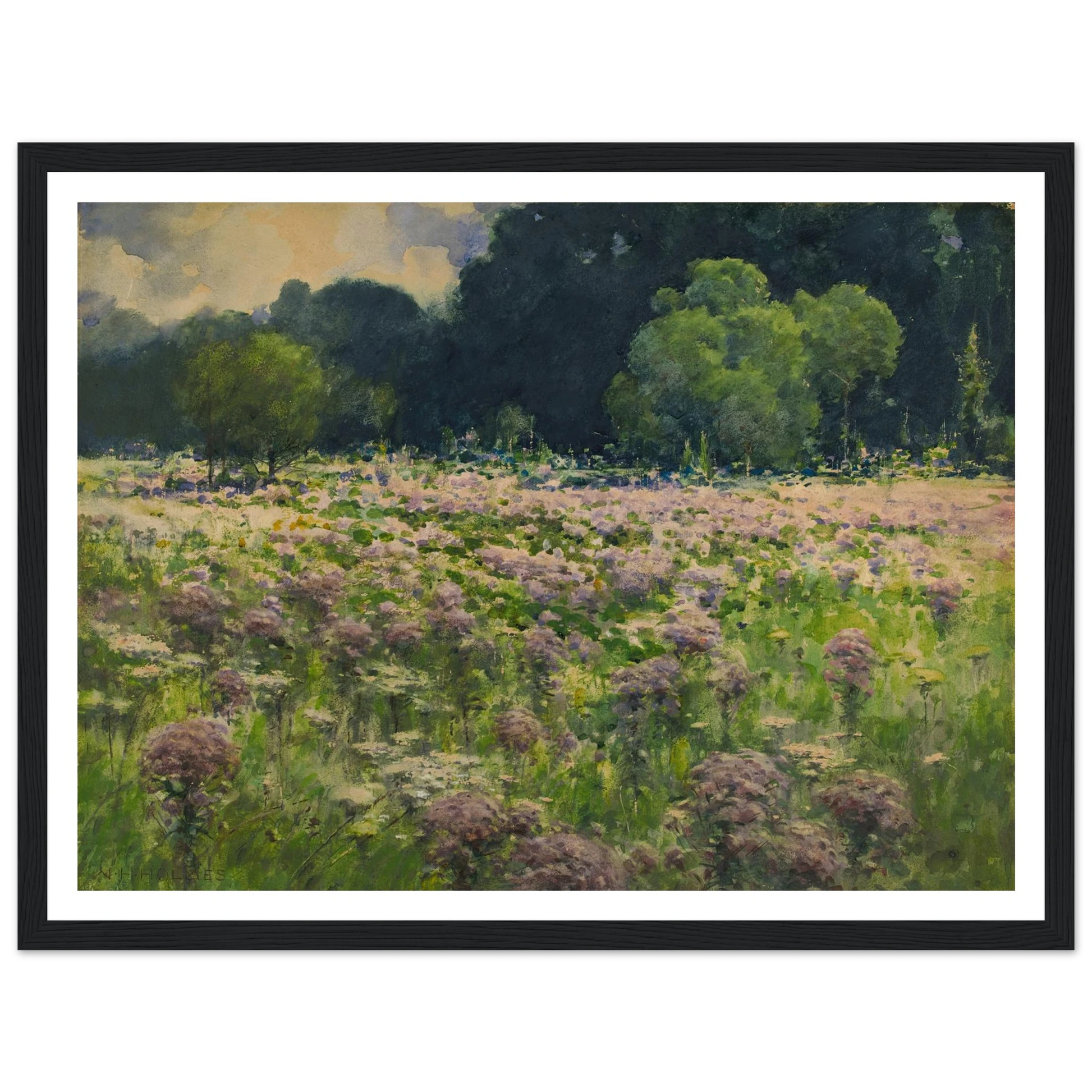 Field Of Joe Pie Weeds (Pride Of The Meadow) Art Print | William Henry Holmes-Quipham Collections