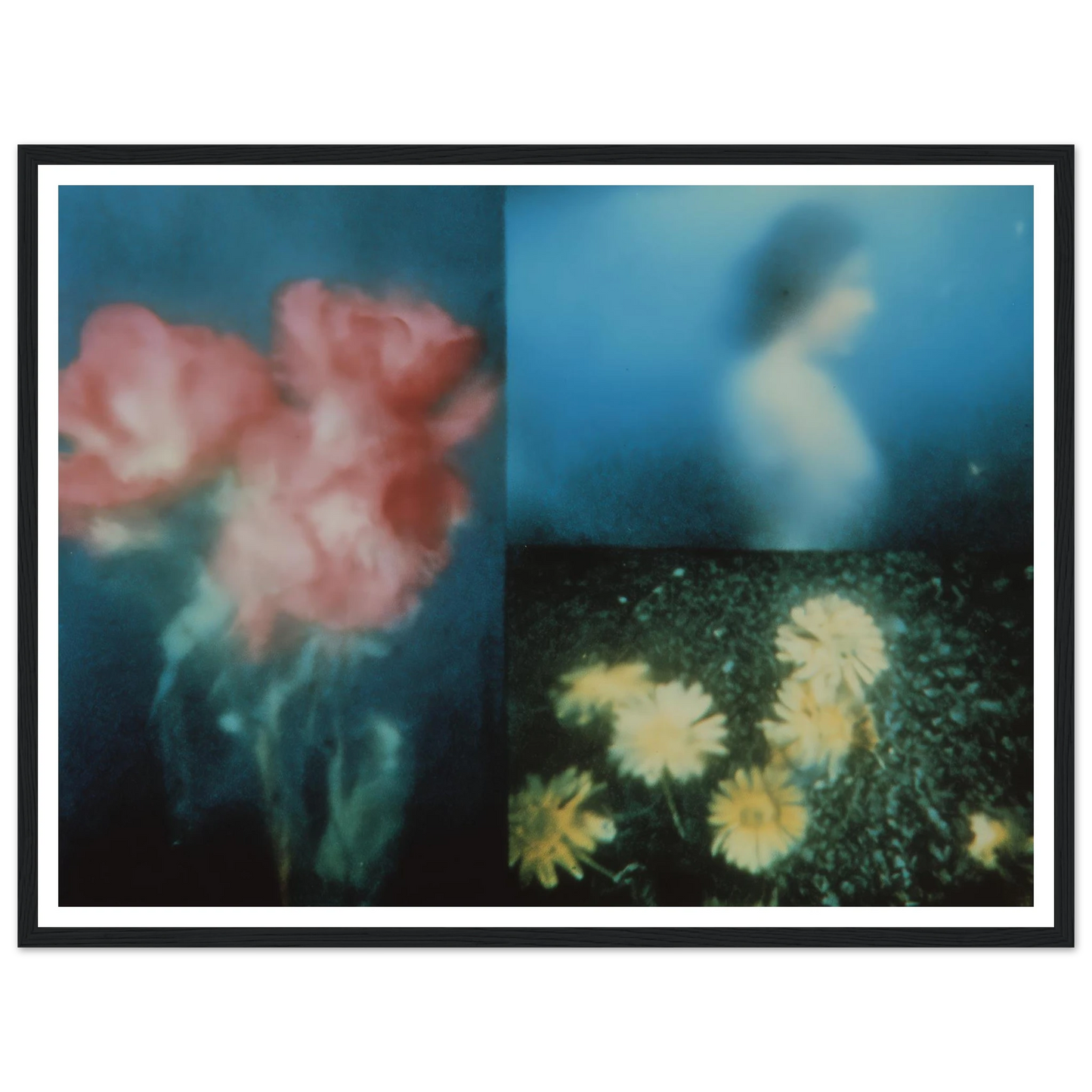 6f49d0fe-0f67-43b2-bcaa-aaa7990e607d