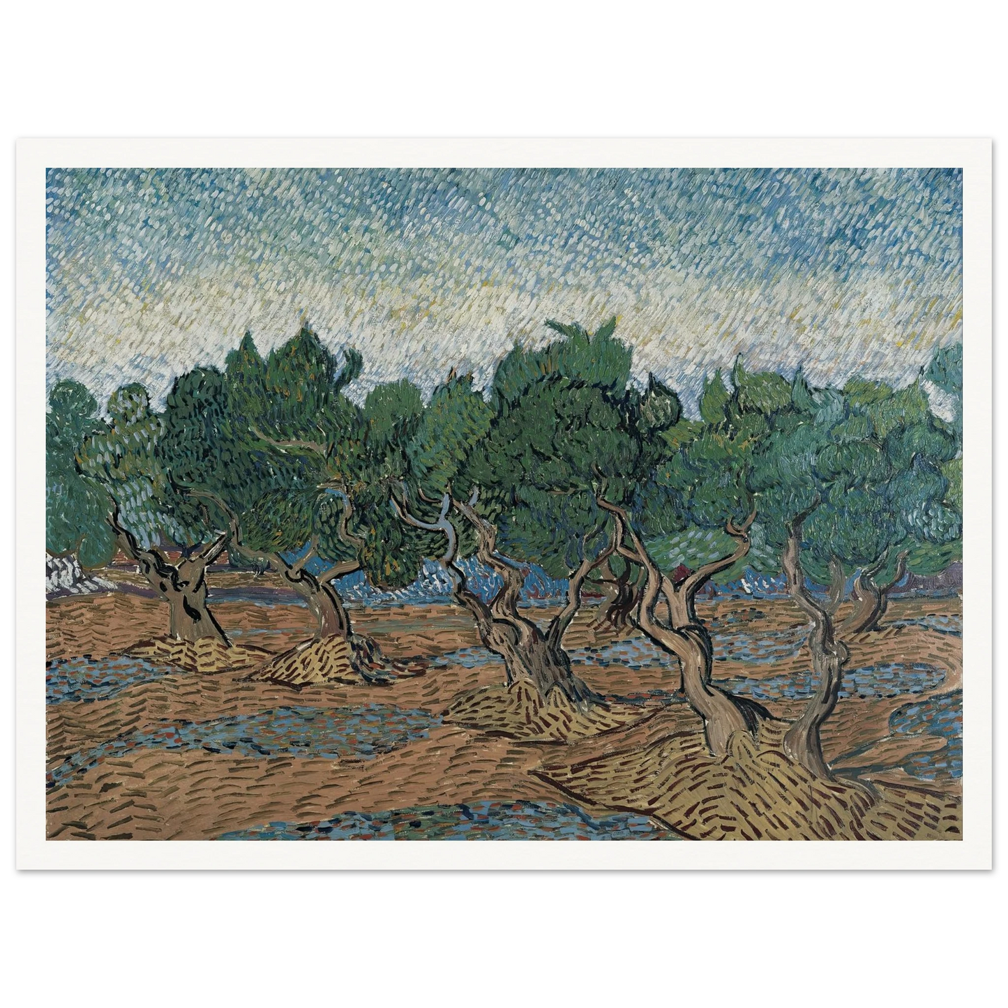 Olive grove Art Print | Vincent van Gogh-Quipham Collections