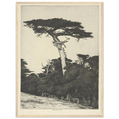 Dryad’s Parasol (1916-1922) Art Print | Ernest Haskell-Quipham Collections