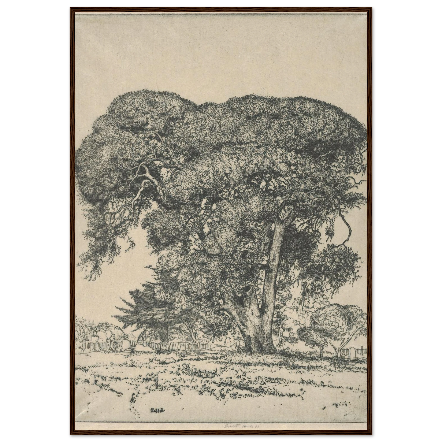 Cemetery Live Oak (1916) Art Print | Ernest Haskell-Quipham Collections