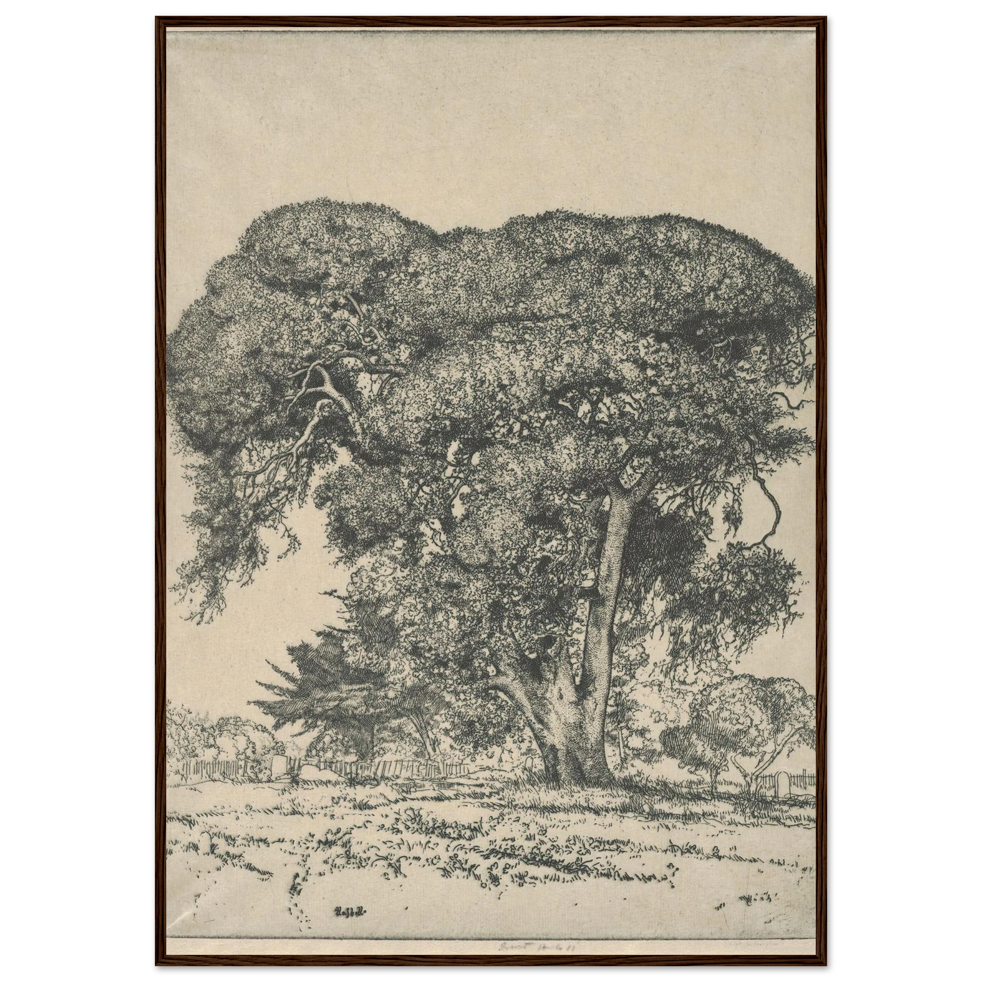 Cemetery Live Oak (1916) Art Print | Ernest Haskell-Quipham Collections