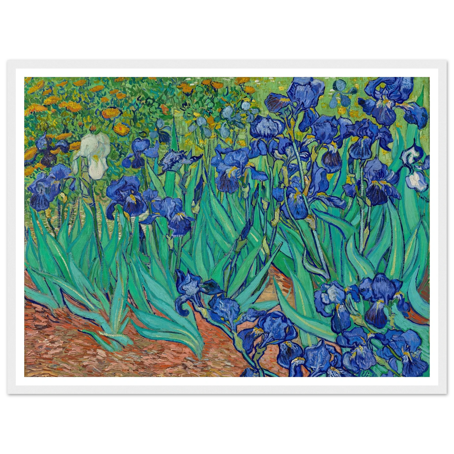 Irises (1889) Art Print | Vincent van Gogh-Quipham Collections