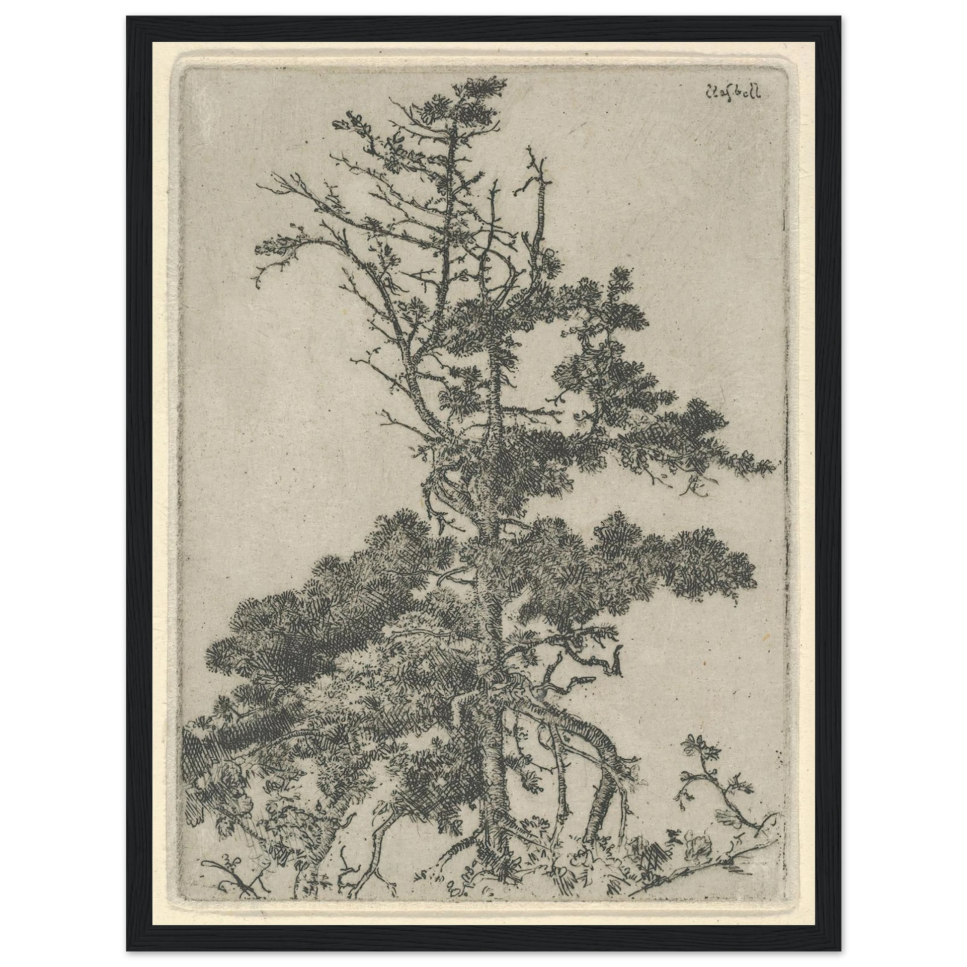Tree Top (1900-1925) Art Print | Ernest Haskell-Quipham Collections