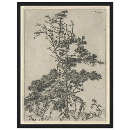 Tree Top (1900-1925) Art Print | Ernest Haskell-Quipham Collections