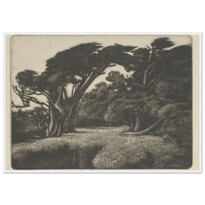 Cypress Bower (1920) Art Print | Ernest Haskell-Quipham Collections