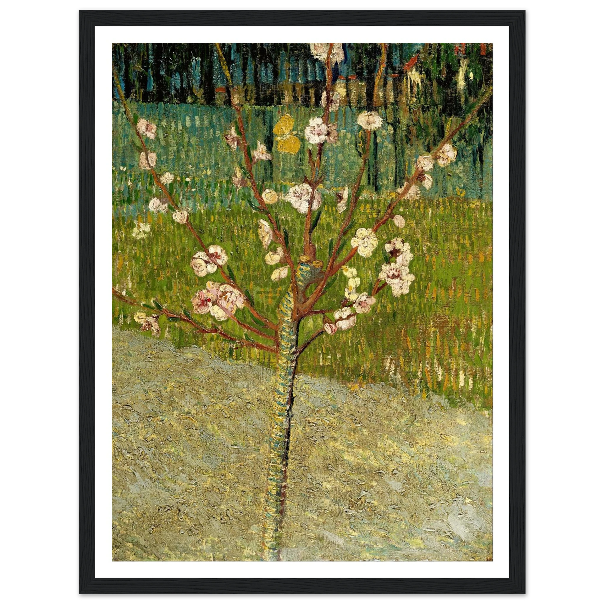 Almond tree in blossom Art Print | Vincent van Gogh-Quipham Collections