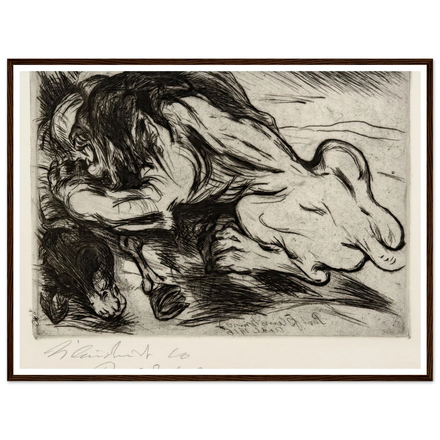 Ein Löwe reißt ein Zebu (1916) Art Print | Paul Kleinschmidt-Quipham Collections