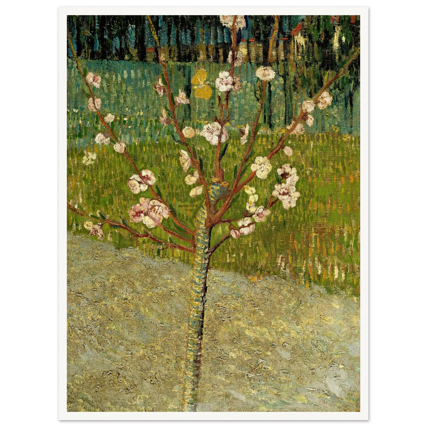 Almond tree in blossom Art Print | Vincent van Gogh-Quipham Collections
