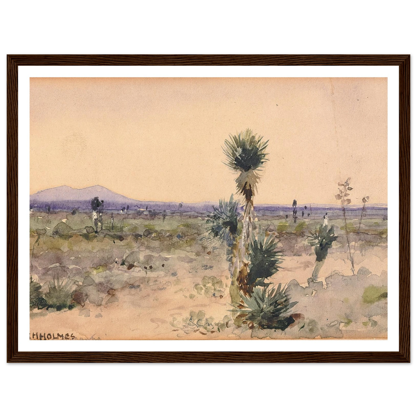 Yuccaland–Chihuahua, Mexico Art Print | William Henry Holmes-Quipham Collections