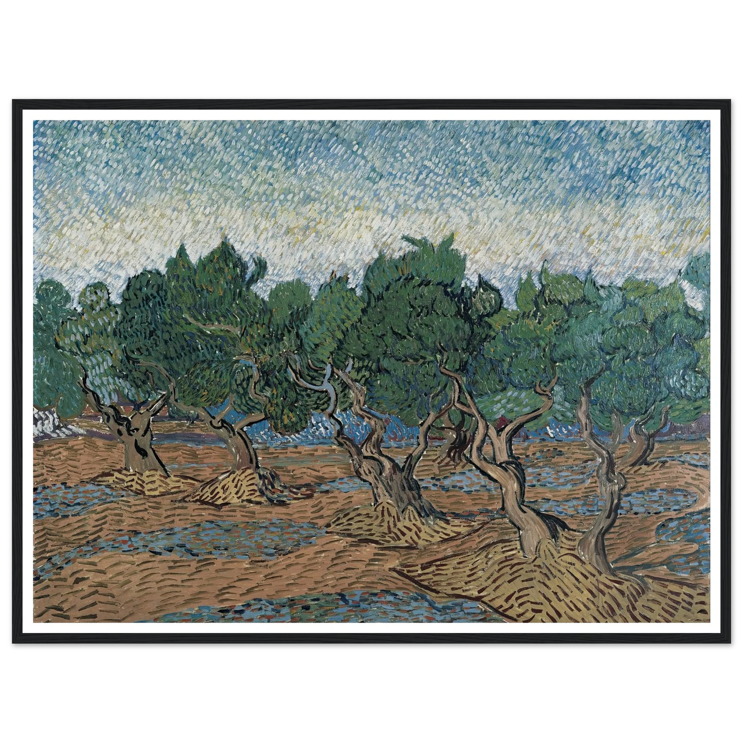 Olive grove Art Print | Vincent van Gogh-Quipham Collections