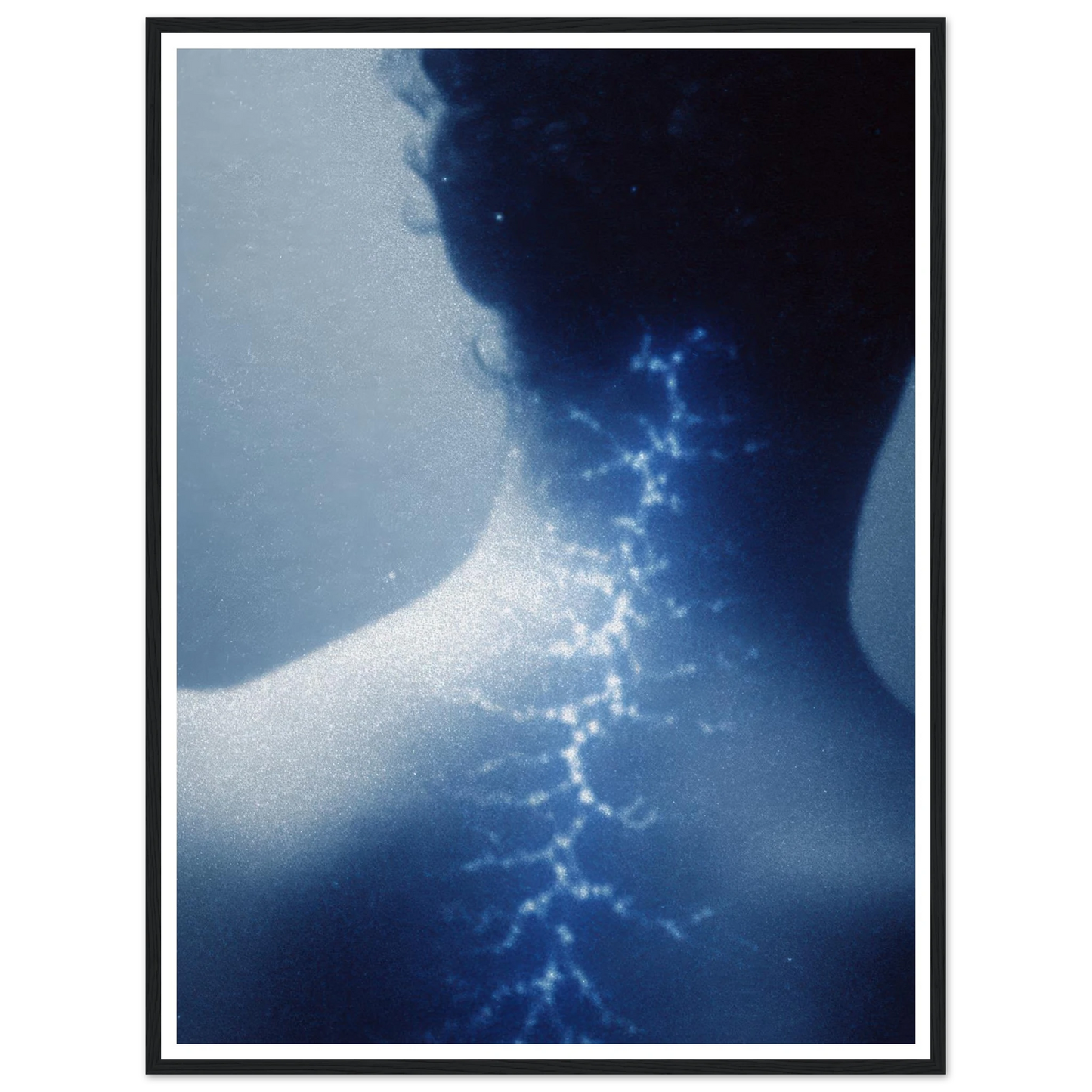 81ad34fa-cc50-4334-8031-9cf8a75938ce