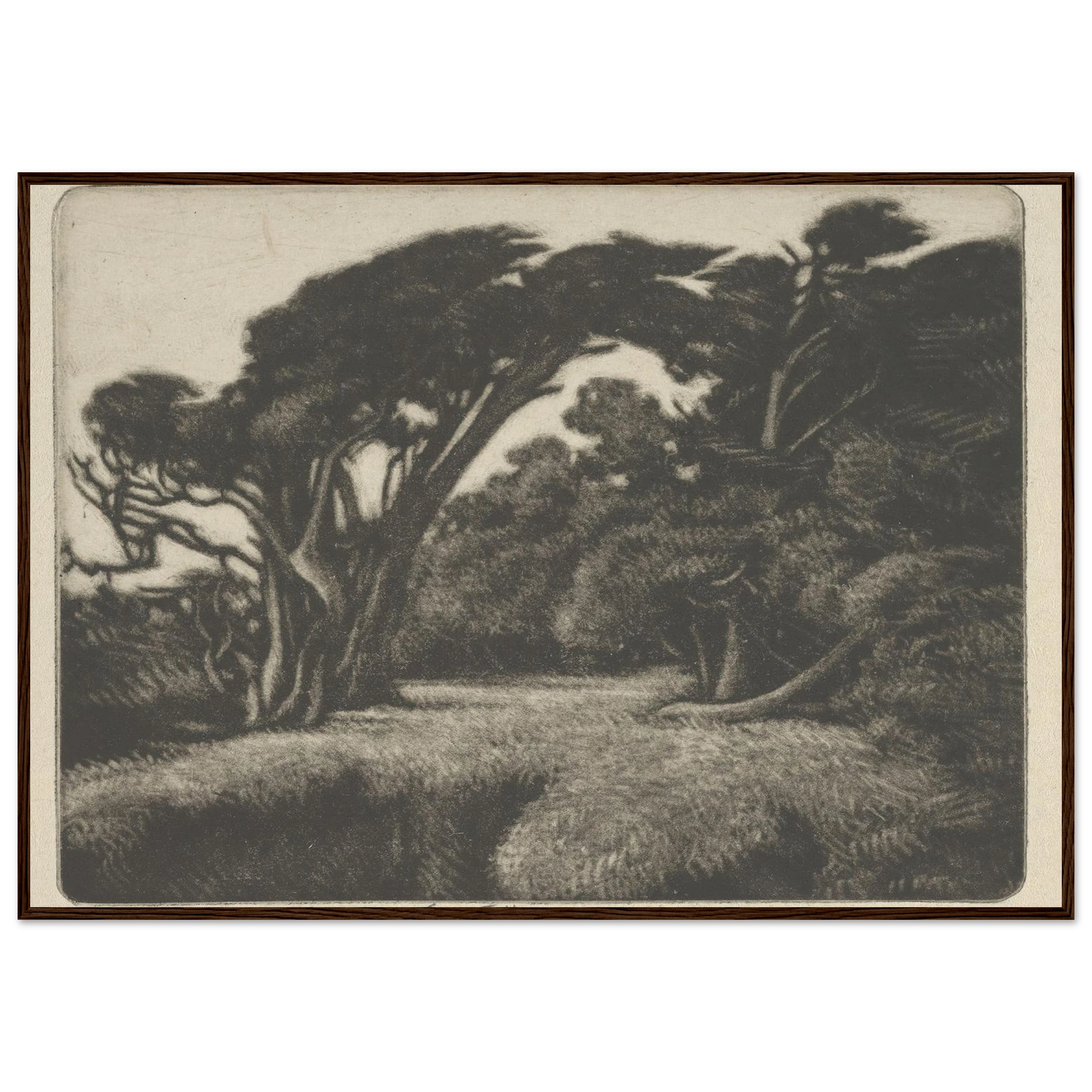 Cypress Bower (1920) Art Print | Ernest Haskell-Quipham Collections