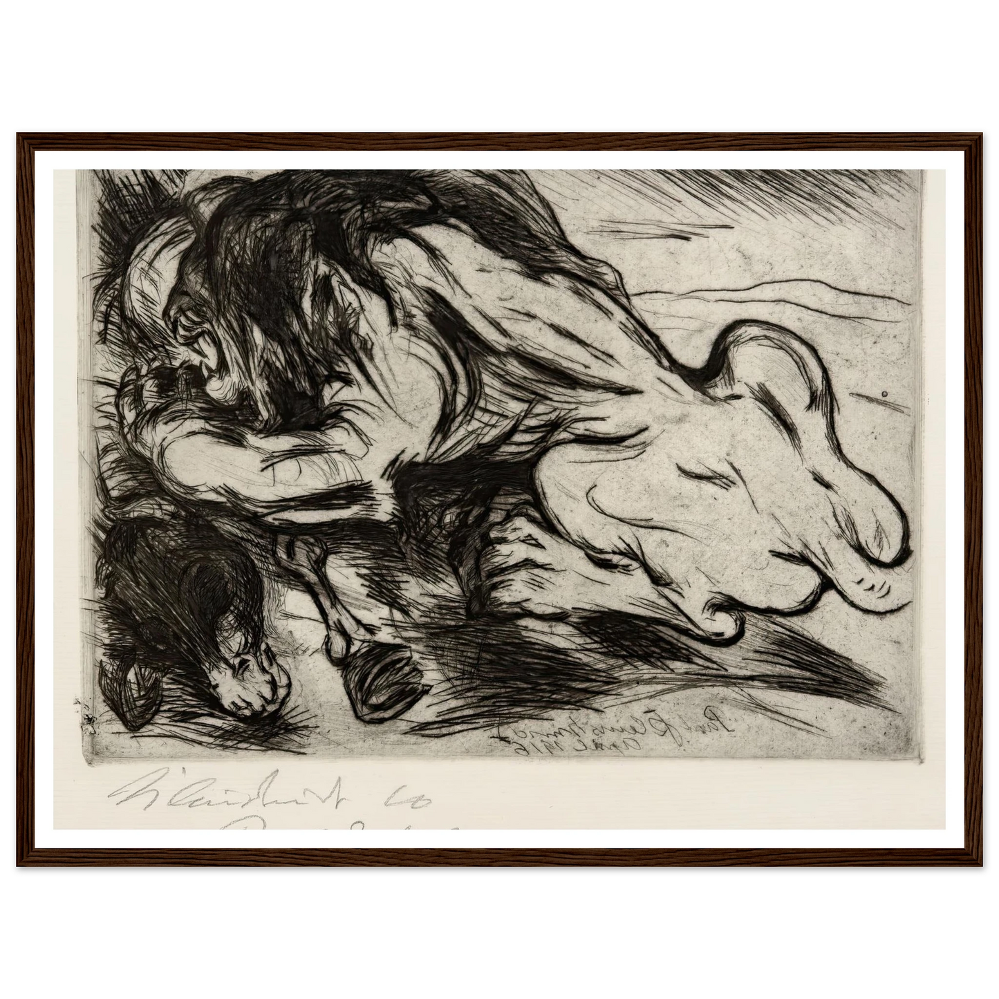 Ein Löwe reißt ein Zebu (1916) Art Print | Paul Kleinschmidt-Quipham Collections