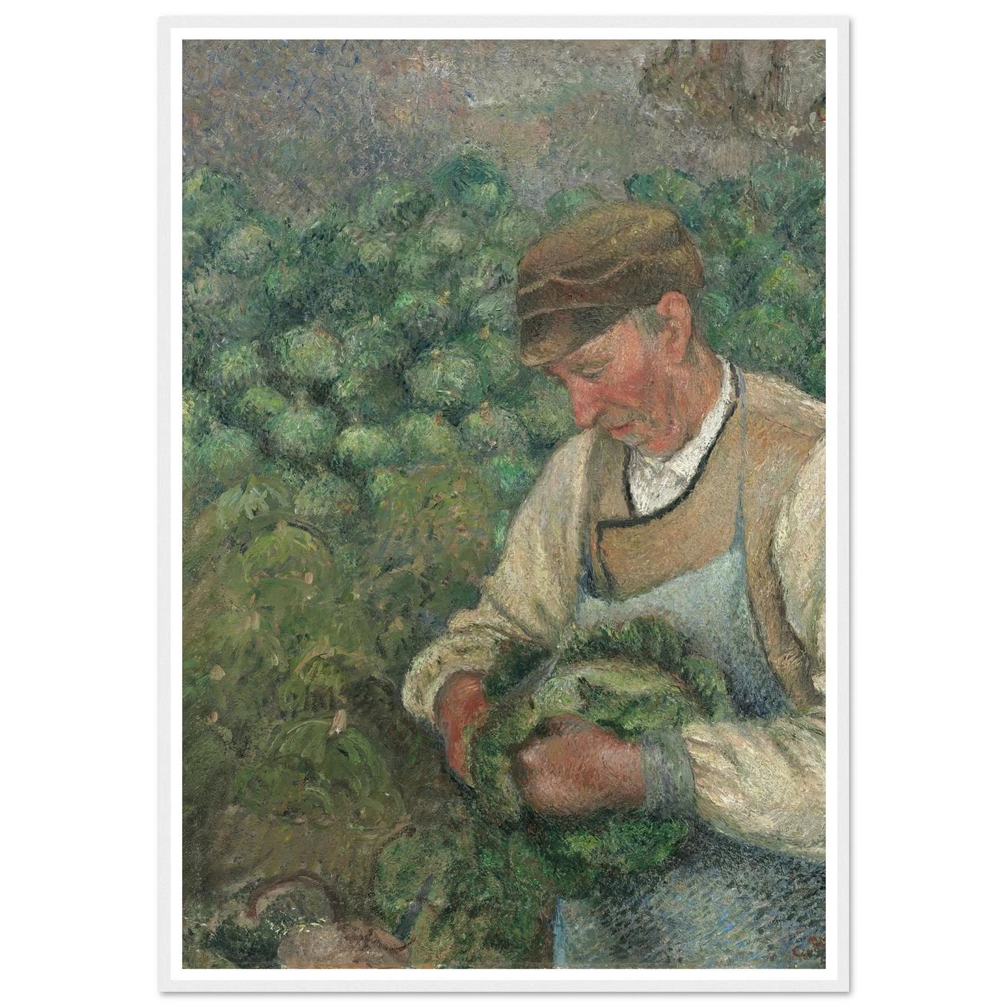 The Gardener – Old Peasant with Cabbage (1883-1895) Art Print | Camille Pissarro-Quipham Collections