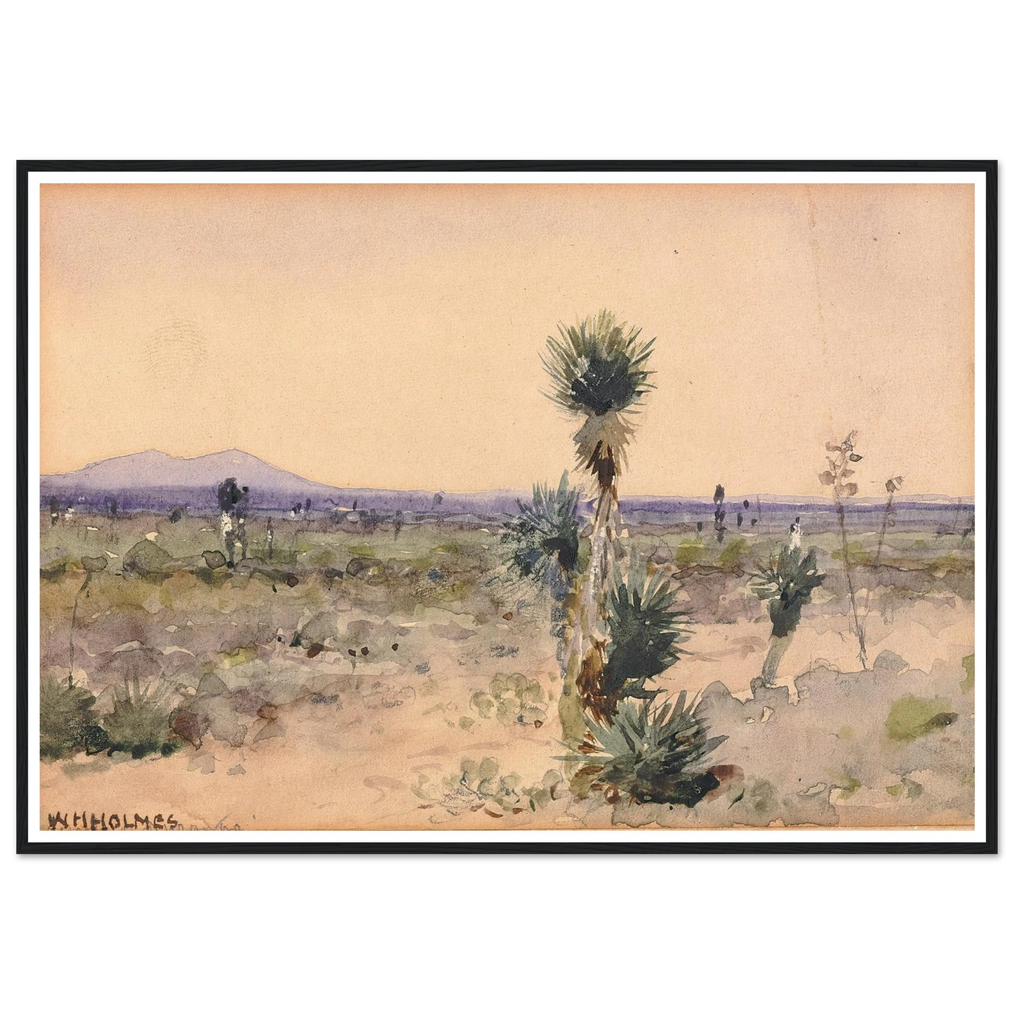 Yuccaland–Chihuahua, Mexico Art Print | William Henry Holmes-Quipham Collections