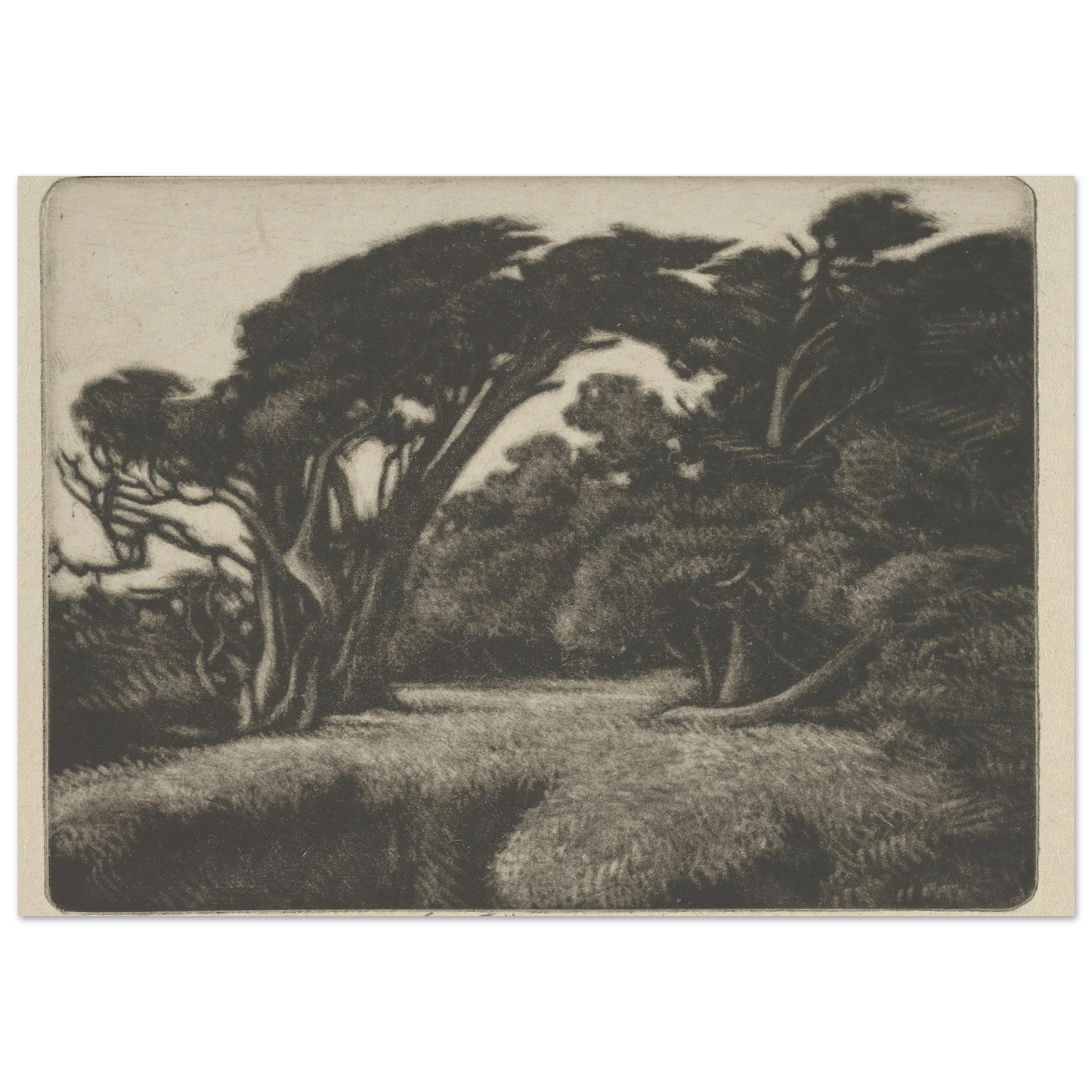 Cypress Bower (1920) Art Print | Ernest Haskell-Quipham Collections
