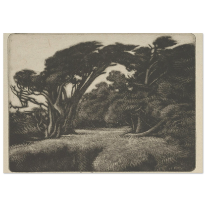 Cypress Bower (1920) Art Print | Ernest Haskell-Quipham Collections