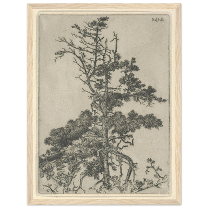 Tree Top (1900-1925) Art Print | Ernest Haskell-Quipham Collections