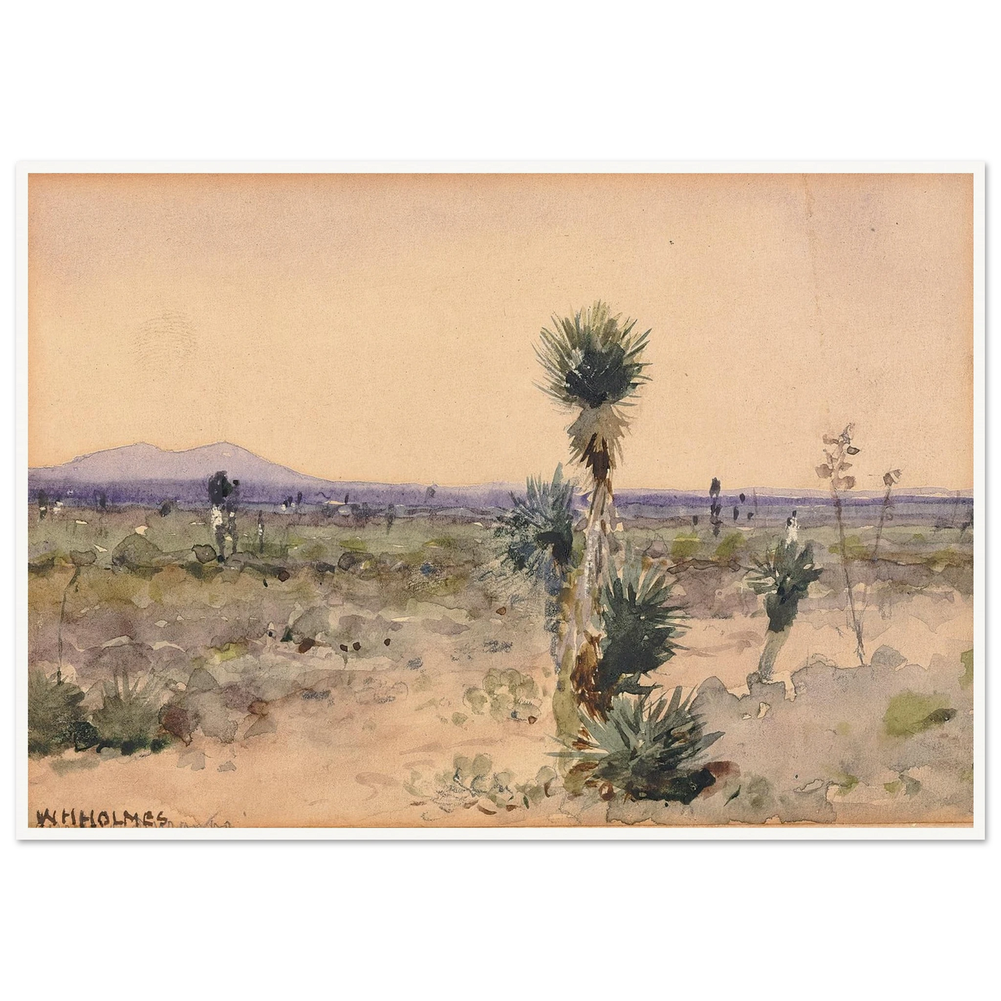 Yuccaland–Chihuahua, Mexico Art Print | William Henry Holmes-Quipham Collections