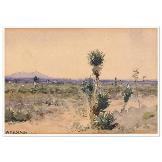 Yuccaland–Chihuahua, Mexico Art Print | William Henry Holmes-Quipham Collections
