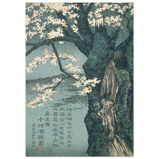 Warrior Taira no Tadanori about to Sleep under a Cherry Tree (1884) Art Print | Kobayashi Kiyochika-Quipham Collections