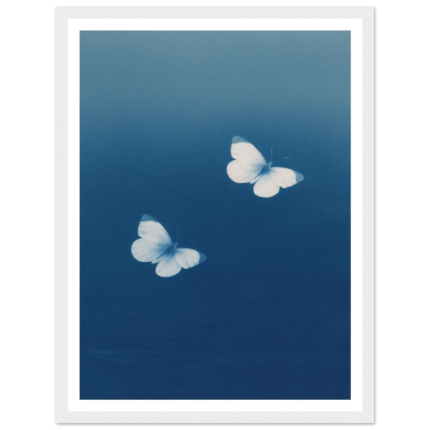 9026a750-d66a-49c6-9b60-d3954bb39112