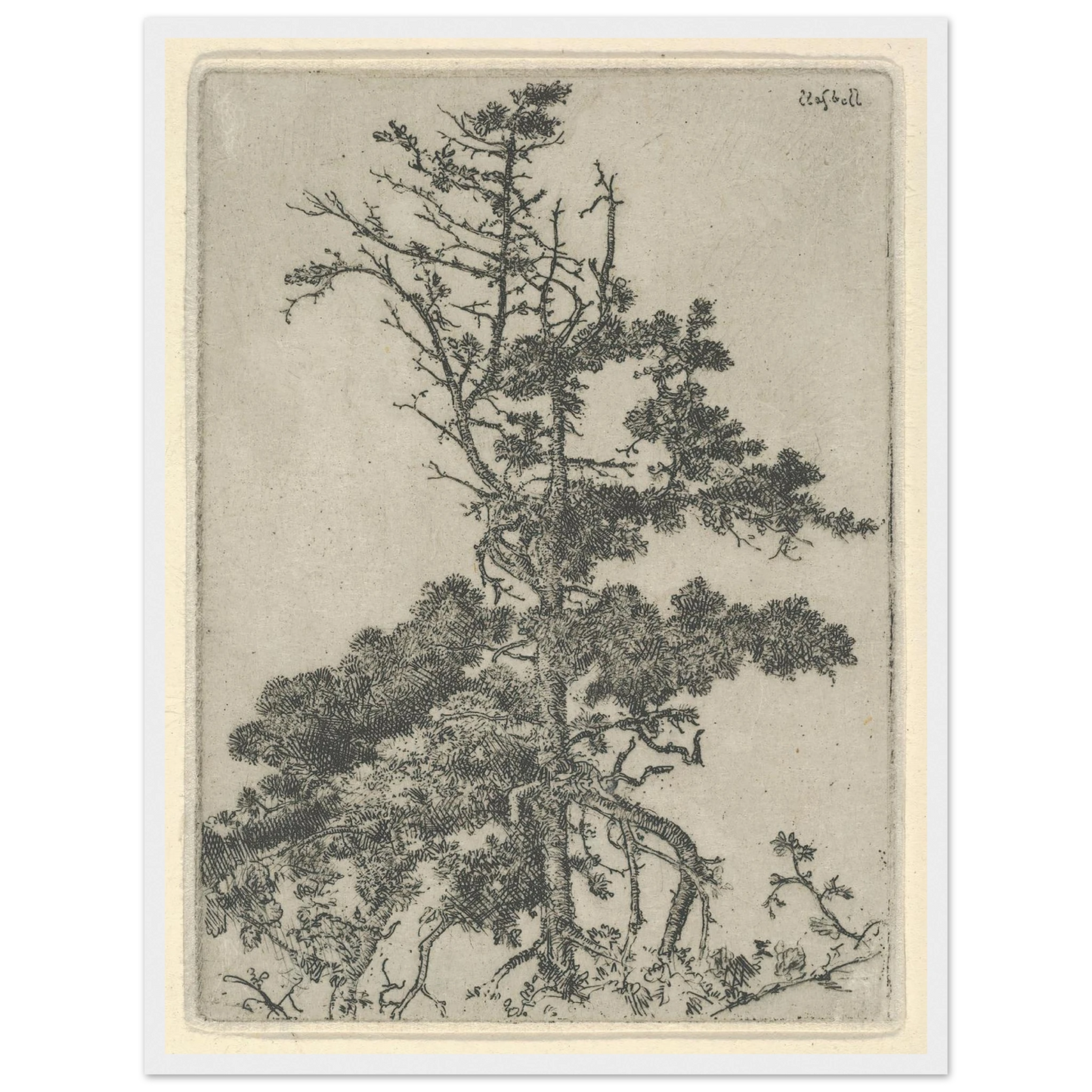 Tree Top (1900-1925) Art Print | Ernest Haskell-Quipham Collections