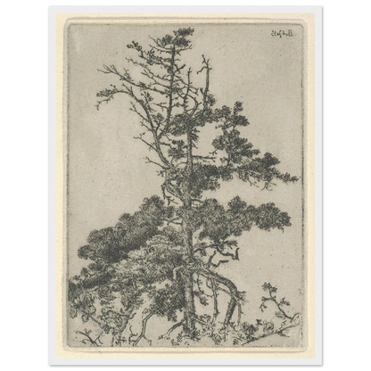 Tree Top (1900-1925) Art Print | Ernest Haskell-Quipham Collections