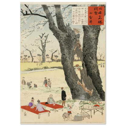 Koganei, Cherry Blossoms (1896) Art Print | Kobayashi Kiyochika-Quipham Collections