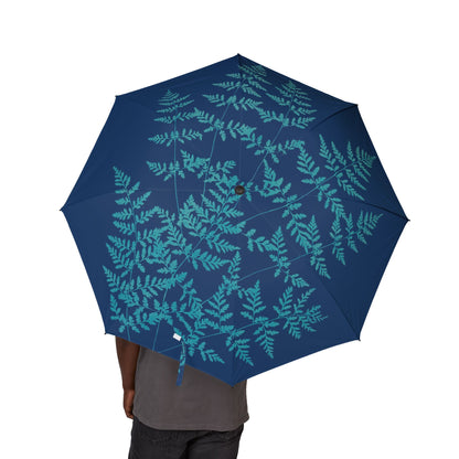 Ferns of Huntington, Long Island Pl.40 Umbrella | Ella J. C. Hurd-Quipham Collections