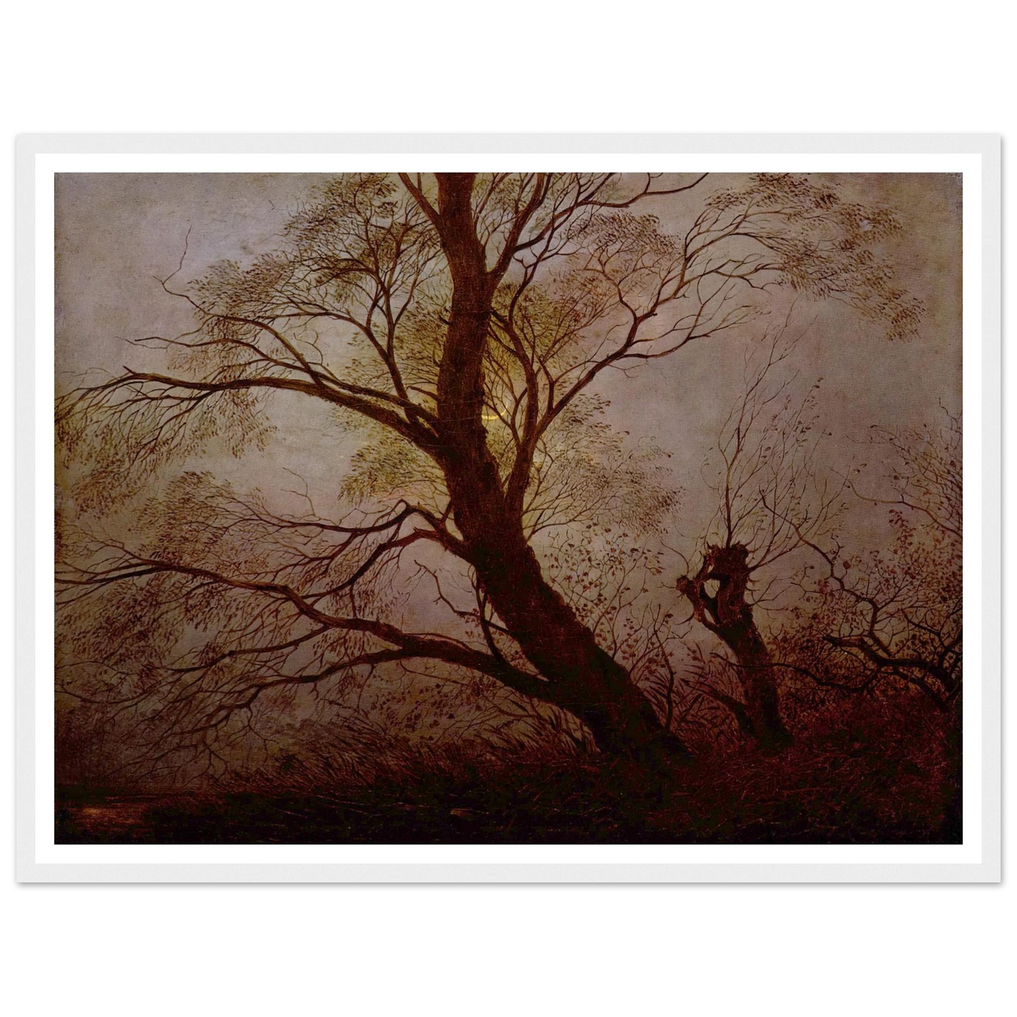 95b6c754-5174-492f-8a48-0ed213925637