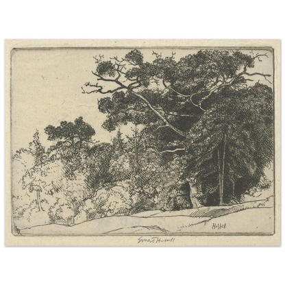 Brown’s Oak (probably 1910) Art Print | Ernest Haskell-Quipham Collections