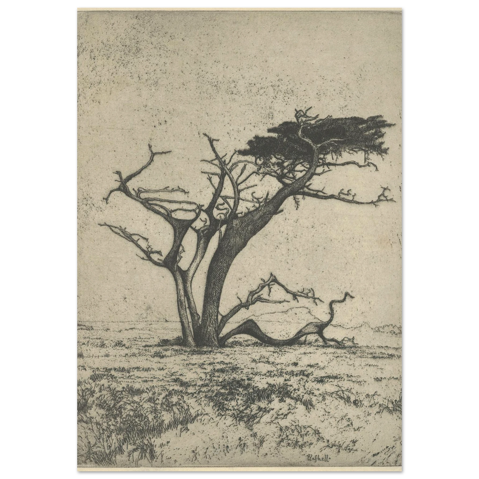 Antlers (1915) Art Print | Ernest Haskell-Quipham Collections