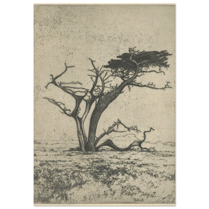Antlers (1915) Art Print | Ernest Haskell-Quipham Collections