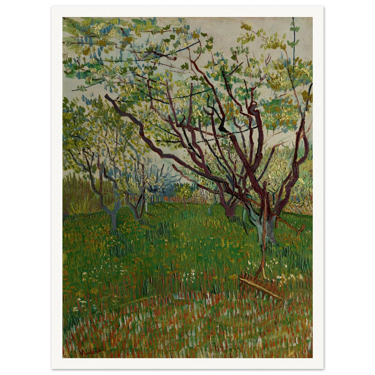The Flowering Orchard (1888) Art Print | Vincent van Gogh-Quipham Collections