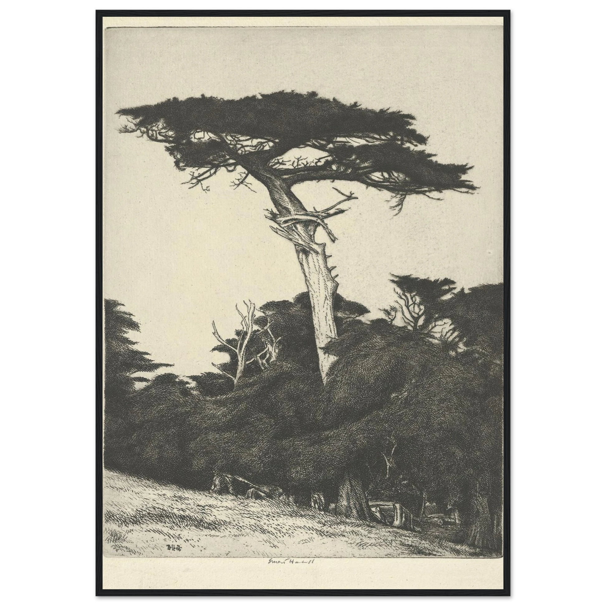Dryad’s Parasol (1916-1922) Art Print | Ernest Haskell-Quipham Collections