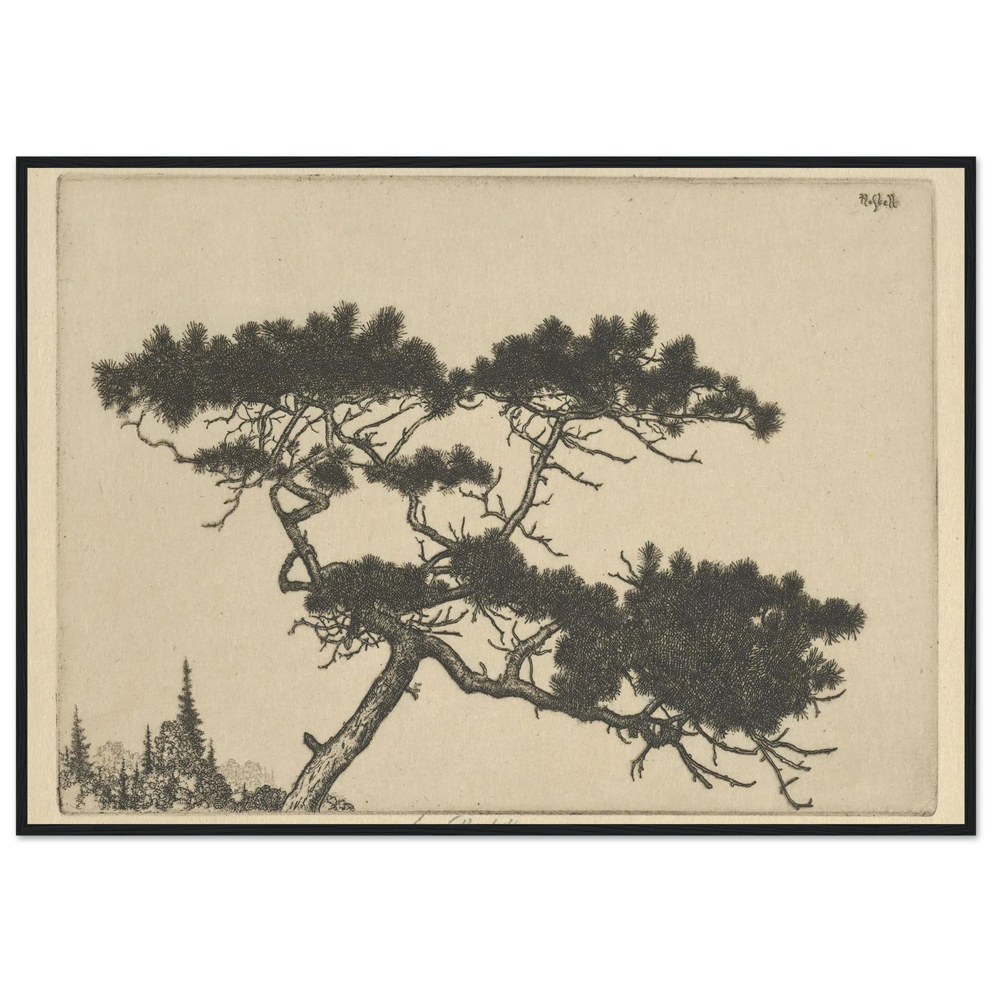 Crippled Pine (between 1900 and 1925) Art Print | Ernest Haskell-Quipham Collections