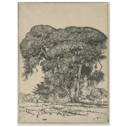 Cemetery Live Oak (1916) Art Print | Ernest Haskell-Quipham Collections