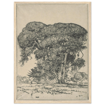 Cemetery Live Oak (1916) Art Print | Ernest Haskell-Quipham Collections