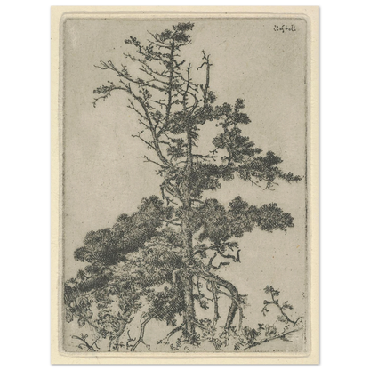 Tree Top (1900-1925) Art Print | Ernest Haskell-Quipham Collections