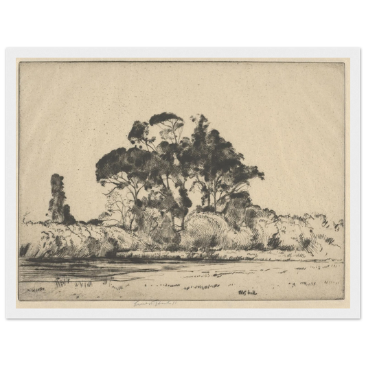 Feathery Trees (1900-1925) Art Print | Ernest Haskell - Framed Poster - 30x40 cm / 12x16″ - Black frame